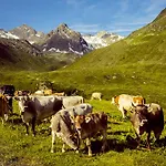 Gasthuis Alpenpension Maderer 3*