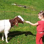 Alpenpension Maderer Гашум
