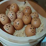 Alpenpension Maderer