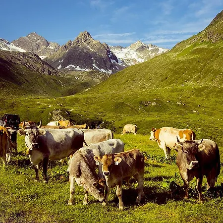 بيت ضيافة Alpenpension Maderer 3*