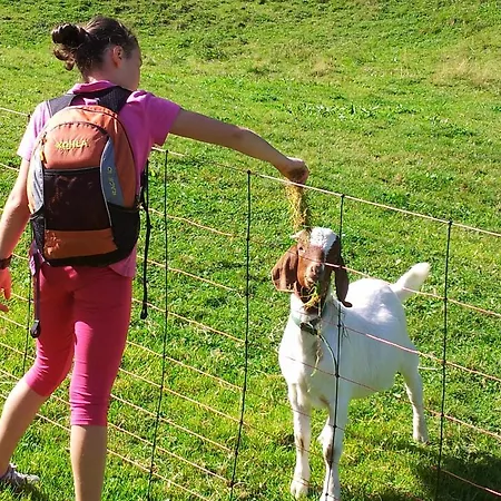 Πανσιόν Alpenpension Maderer