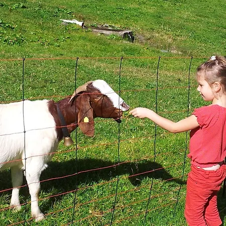 Alpenpension Maderer Gaschurn