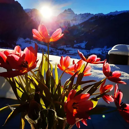 Konukevi Alpenpension Maderer