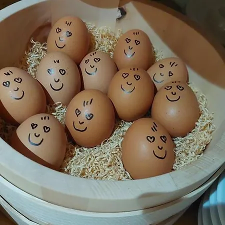 Alpenpension Maderer