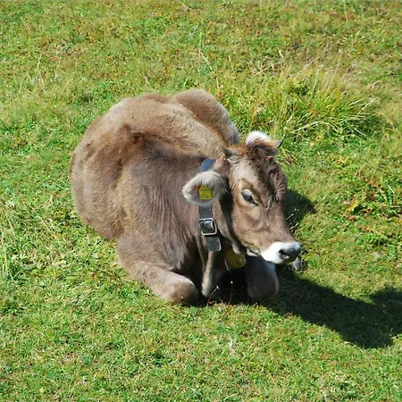Alpenpension Maderer Πανσιόν Gaschurn