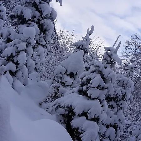 بيت ضيافة Alpenpension Maderer