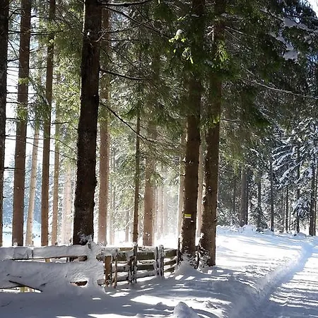 Alpenpension Maderer 3* غاسشرن
