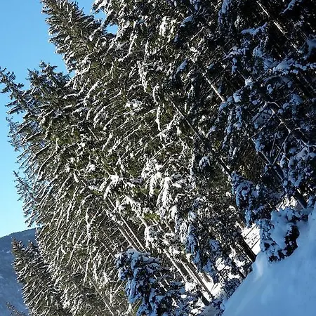 Alpenpension Maderer بيت ضيافة غاسشرن