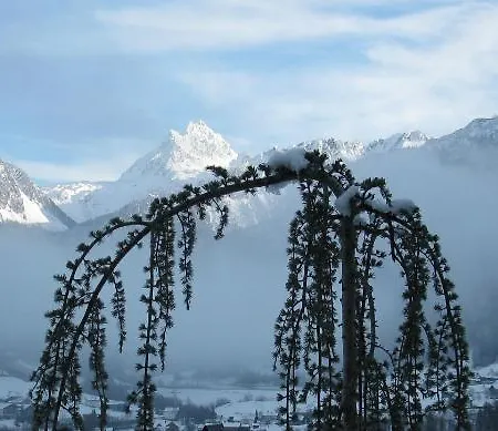 بيت ضيافة Alpenpension Maderer 3*