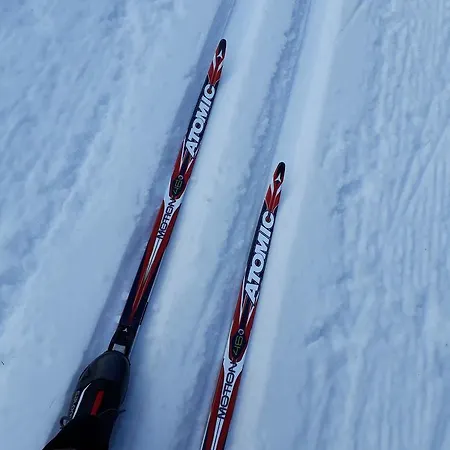 Πανσιόν Alpenpension Maderer 3*